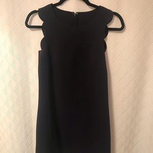 Navy scalloped hem j crew factory dress